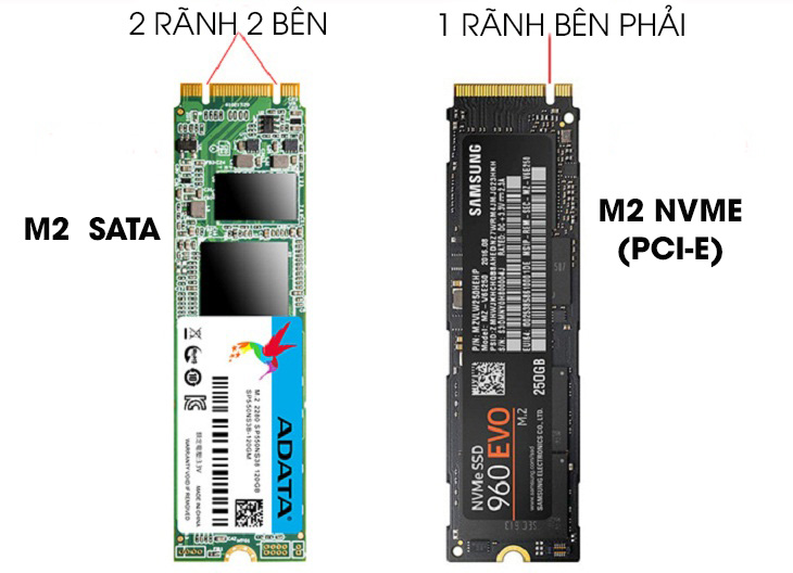 Các Loại SSD M.2 NVMe Phổ Biến Hiện Nay