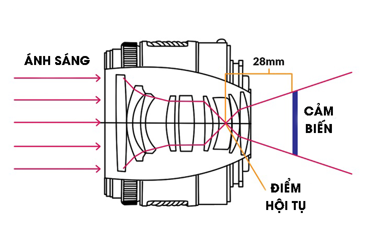 Máy ảnh kỹ thuật số Máy ảnh DSLR Biểu tượng đồ họa máy quay video khu  vực đen png  PNGEgg