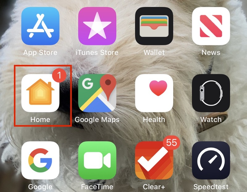 iOS 13.2.1 iOS 13.2.1