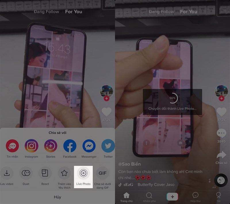 Cách tải video TikTok làm hình nền cho cả iPhone và Android