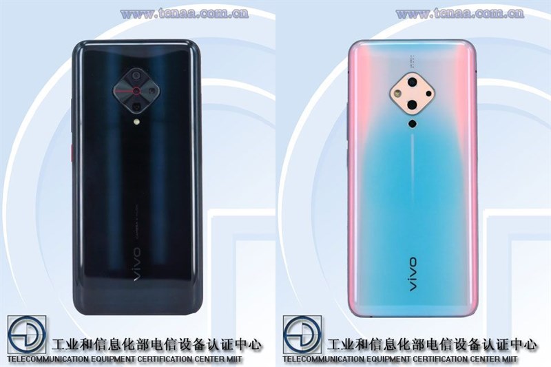 Mặt sau của Vivo S5 và S5 Pro Mặt sau của Vivo S5 và S5 Pro