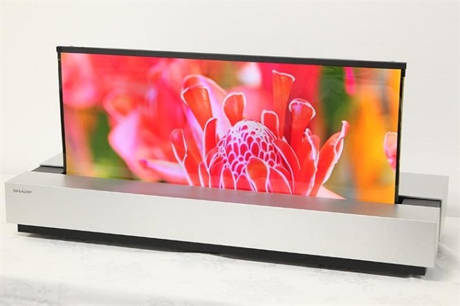 Sharp sắp ra mắt tivi màn hình cuộn, cạnh tranh với LG