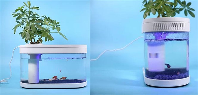 Xiaomi ra mắt bể cá di động, không cần thay nước thường xuyên, giá 1 triệu