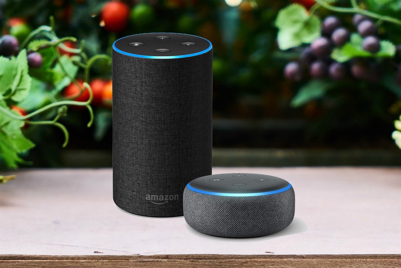 So sánh loa thông minh Google Home và Amazon Echo: Nên mua loại nào? > Amazon Echo