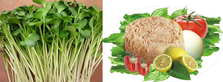 nguyên liệu làm salad cá ngừ rau mầm