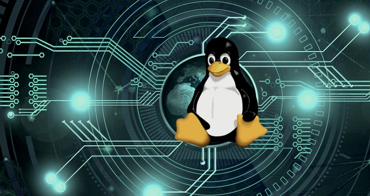 Linux (Unix distribution) - Giải pháp tùy chỉnh để phát triển web