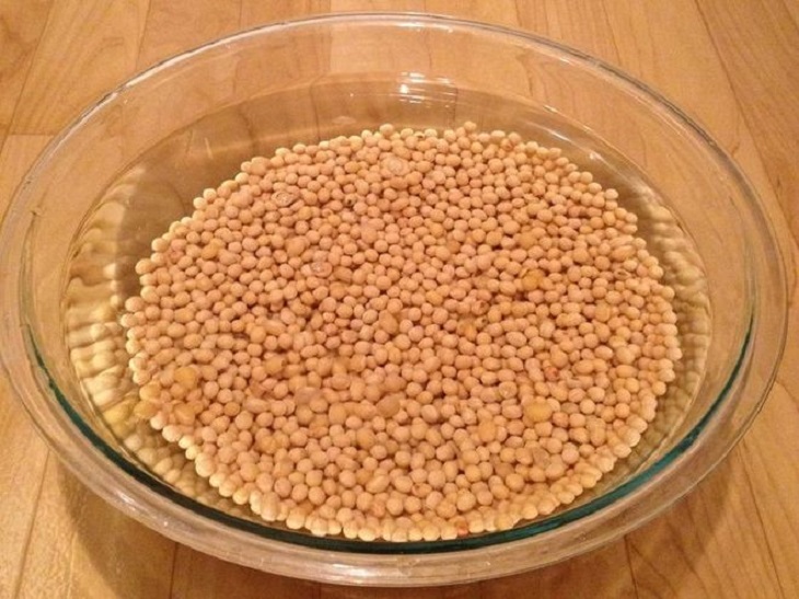 Thêm hạt đậu nành vào nước