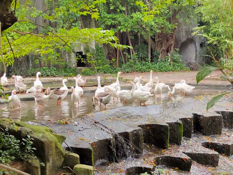 Đánh giá chi tiết Realme XT Đánh giá chi tiết Realme XT