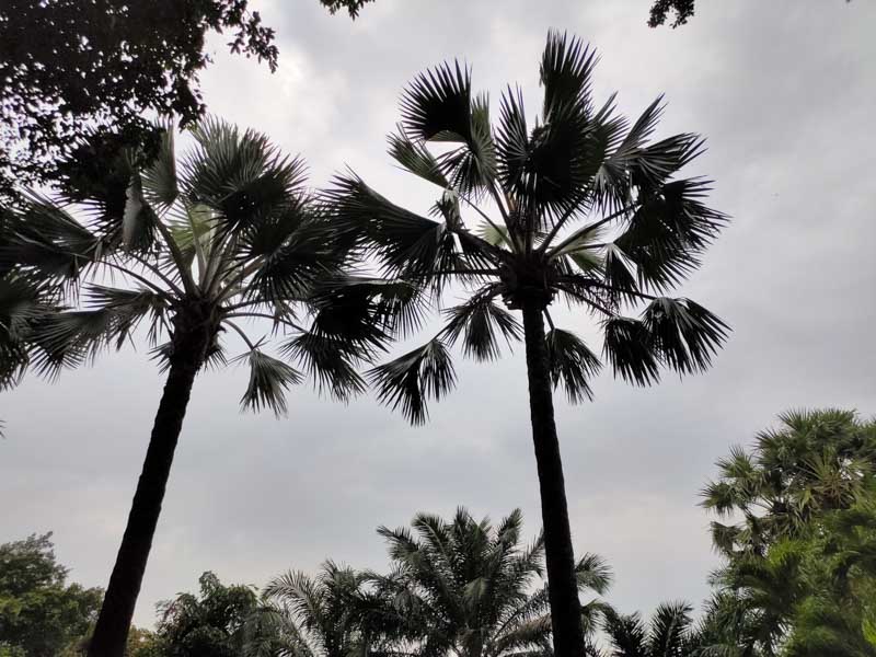 Đánh giá chi tiết Realme XT Đánh giá chi tiết Realme XT