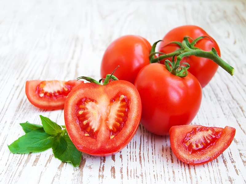 Cách trồng, chăm sóc cà chua cho trĩu quả và thu hoạch quanh năm tại nhà