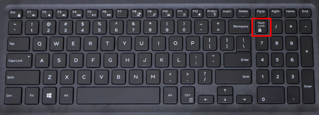 Phím số không bấm được do tắt NumLock