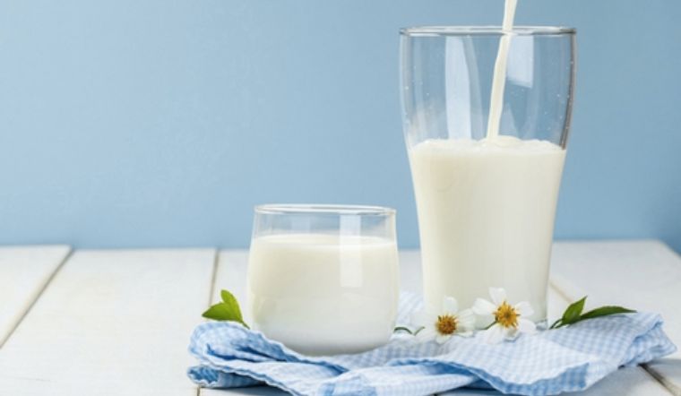 Sữa được pha bằng sữa bột có được gọi là sữa tươi?