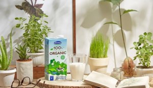 Sữa tươi 100% organic của Vinamilk sản xuất thế nào?