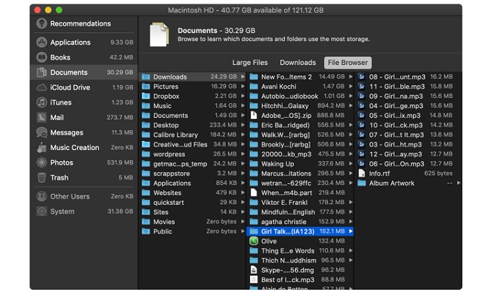 Phần File Browser: cơ bản là Finder trong công cụ quản lý lưu trữ