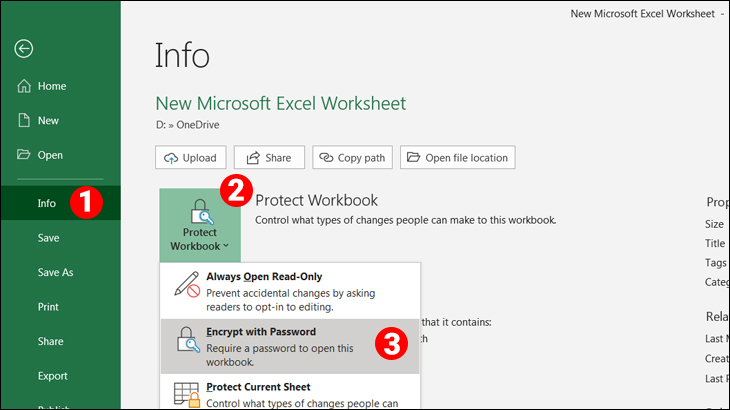 Info > Protect Workbook > Encrypt with Password