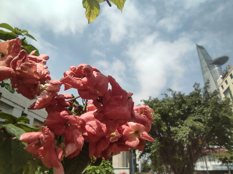 Đánh giá chi tiết Xiaomi Mi Note 10