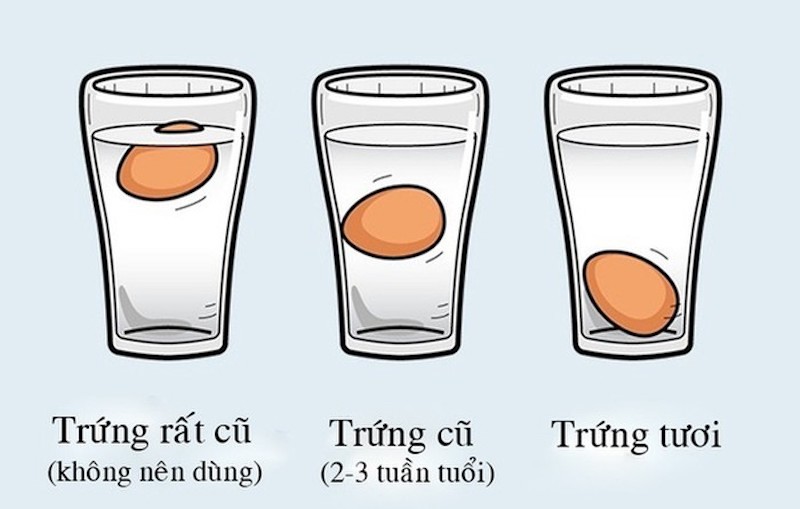 Cách kiểm tra trứng hết hạn bằng nước