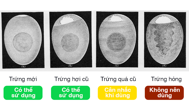 Cách kiểm tra trứng hết hạn bằng cách soi đèn