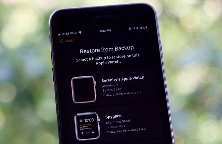 Restore From Backup apple watch