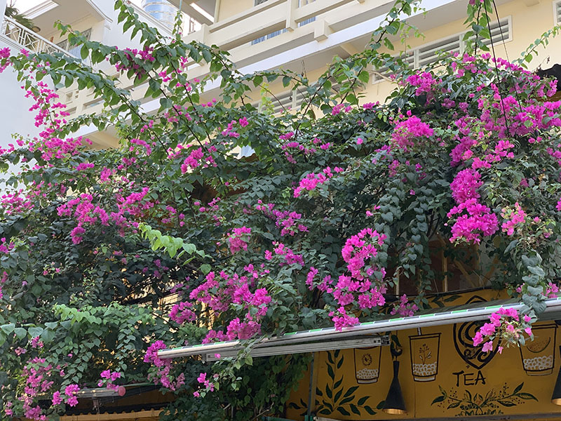 Đánh giá chi tiết iPhone Xs Max Đánh giá chi tiết iPhone Xs Max