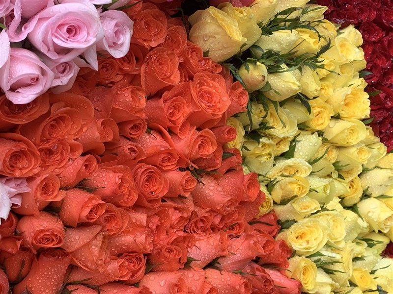 Đánh giá chi tiết iPhone Xs Max Đánh giá chi tiết iPhone Xs Max