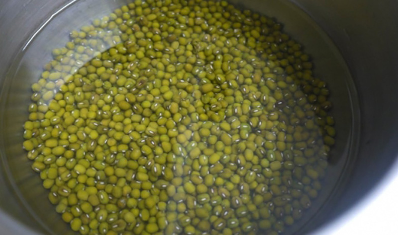 How to make bean sprouts with a basket at home, the price is both big and fat, hygienic