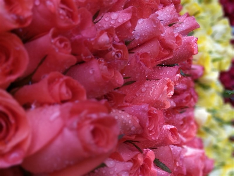 Đánh giá chi tiết Nokia 2.3