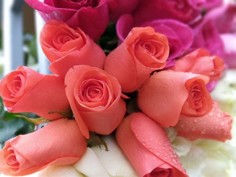 Đánh giá chi tiết Nokia 2.3