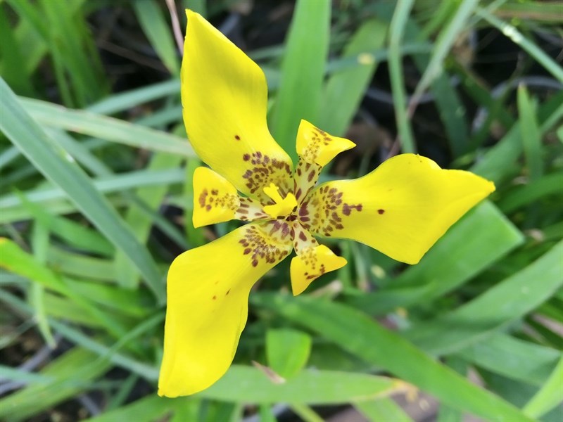 Đánh giá chi tiết Nokia 2.3