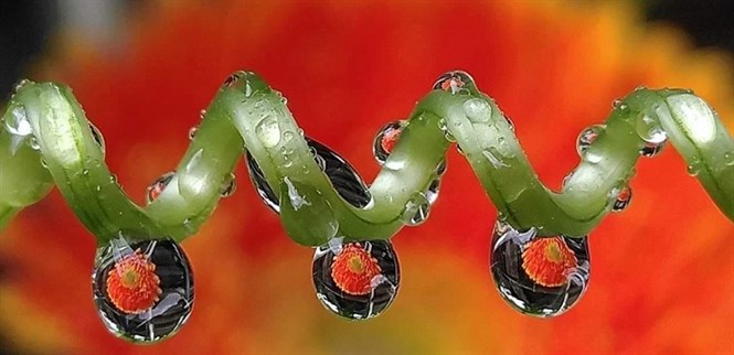 Nhiếp ảnh điện toán trên Bphone 4 là gì? Điện thoại nào khác được trang bị?