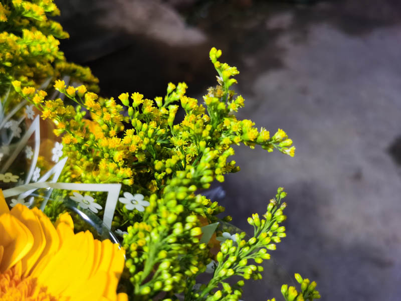 Ảnh chụp cận cảnh