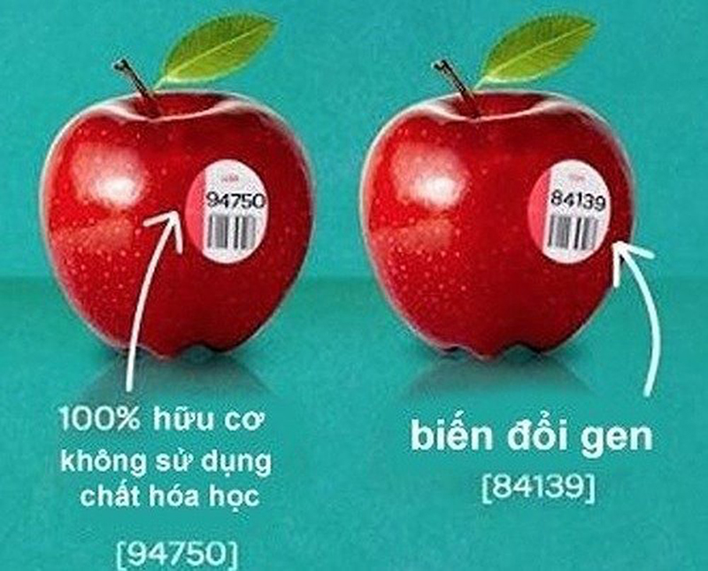 Thực phẩm biến đổi gen có an toàn cho sức khoẻ không?