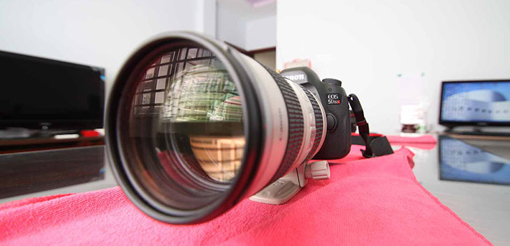 Tại sao nên mua lens cho máy ảnh, cách chọn loại lens phù hợp > Ống kính Tele phù hợp cho ảnh thể thao, động vật hoang dã