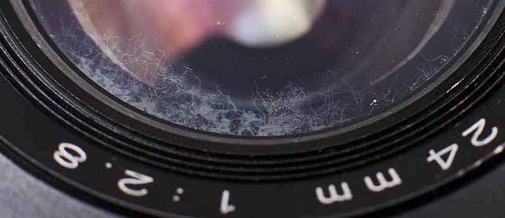 Ống kính (lens) máy ảnh bị rễ tre, nấm mốc - Nguyên nhân và cách khắc phục > nấm mốc, rễ tre trên lens máy ảnh