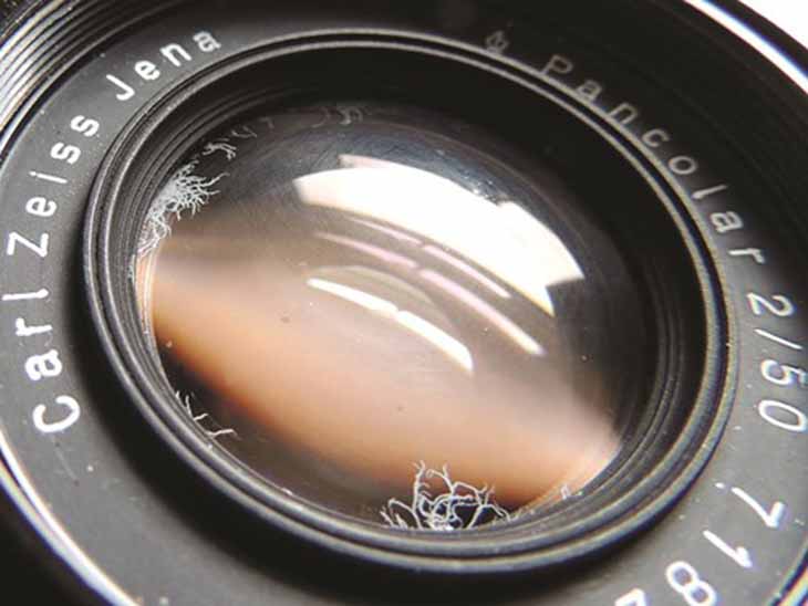Lens Máy Ảnh Bị Rễ Tre, Nấm Mốc - Nguyên Nhân Và Cách Khắc Phục