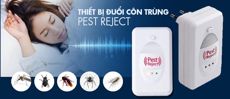 Những điều về máy đuổi chuột bằng sóng âm mà bạn nên biết,thiết bị đuổi côn trùng pest reject
