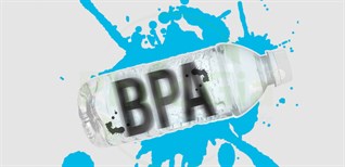 BPA là gì? BPA free là gì? Tác hại của nhựa BPA với con người