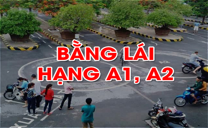 Các loại bằng lái xe máy 2, 3 bánh