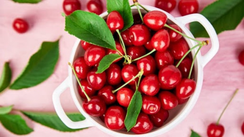 Sour cherries help lose weight