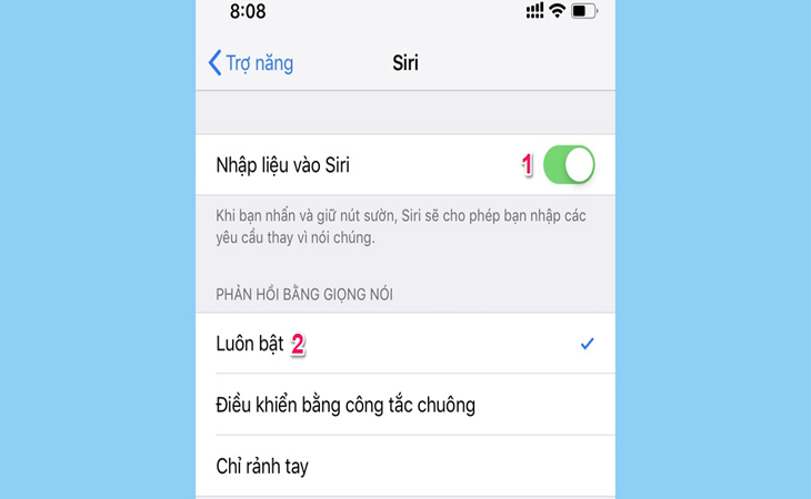 Bước 2: Trong mục cài đặt Siri, bạn kích hoạt chức năng Nhập liệu vào Siri 