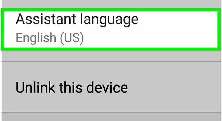 Hướng dẫn cách thay đổi giọng nói Google Assistant trên các thiết bị Google Home > Chọn Assistant Language