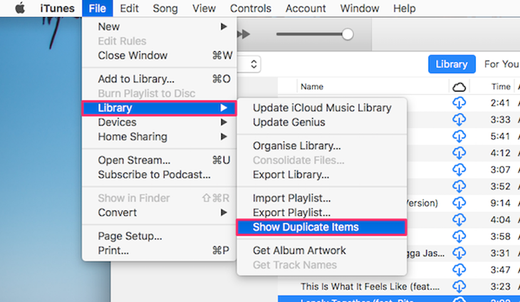 File> Library> Show Duplicate Items