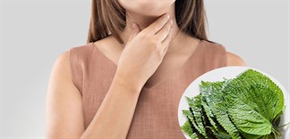 Cách sử dụng đậu xanh và lá chanh để chữa trị viêm họng hạt như thế nào?
