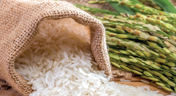 Dùng gạo làm khô giày