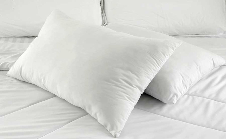 Ruột gối chứa nhiều Ruột gối chứa bào tử nấm