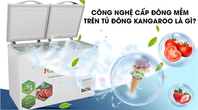 Công nghệ cấp đông mềm trên tủ đông Kangaroo là gì? Hoạt động thế nào?