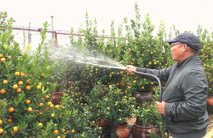 Watering the tree