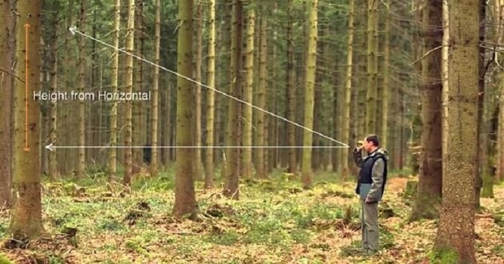 Bạn có thể ướng chừng chiều dài của cây nhờ vào số đo góc