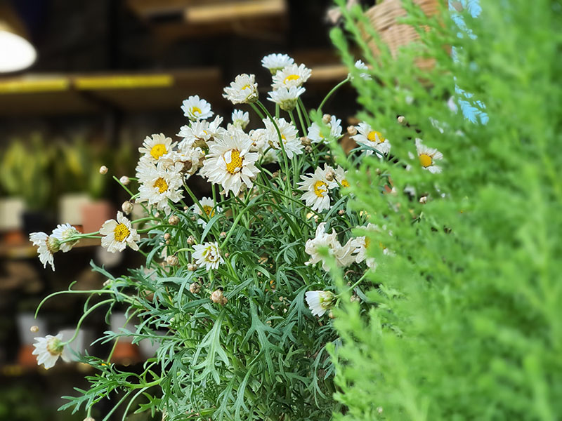 Đánh giá chi tiết Galaxy Note 10+ chạy Android 10 OneUI 2.0