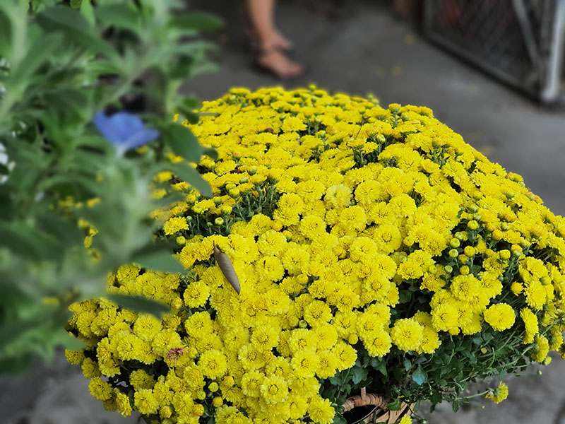 Đánh giá chi tiết Galaxy Note 10+ chạy Android 10 OneUI 2.0